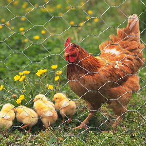 24" x50' 2" 20GA Galvanized Hexagonal Poultry Netting Chicken Wire x Mesh