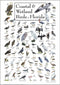 Earth Sky + Water - Coastal & Wetland Birds of Florida - Poster