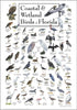 Earth Sky + Water - Coastal & Wetland Birds of Florida - Poster