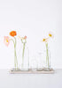Creative Co-Op Set of 5 Vintage Bottle Vases on Wood Tray