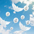 Skylety 36 Pieces Memorial Balloons for Sky Release, Helium Dove Balloons for Funeral Services