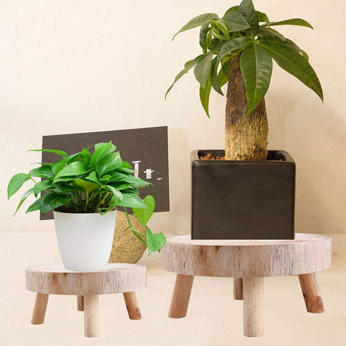 UNIE Round Mini Wooden Stool for Indoor & Outdoor Use