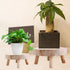 UNIE Round Mini Wooden Stool for Indoor & Outdoor Use