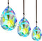 3Pcs 2/2.5/3 inch Crystal Prisms Sun Catchers Chandelier Colorful Bauhinia Ornament Pendants