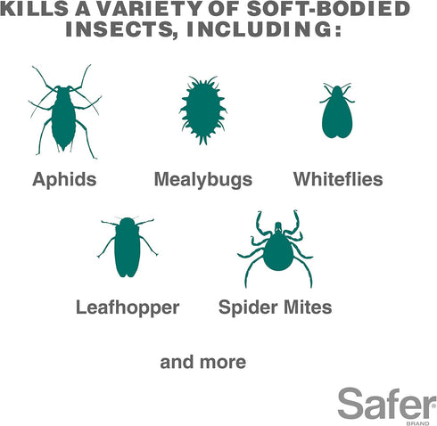 5118-6 Safer Insect Killing Soap Concentrate - Insecticidal Soap for Plants - Kills Aphids, Whiteflies, Thrips, Spider