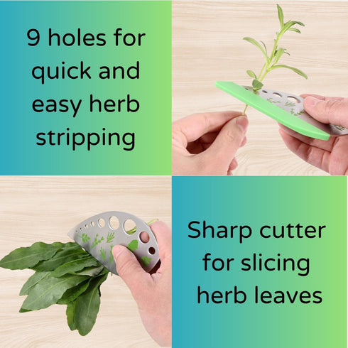 Boorika 9-Hole (2) Herb Stripper Stainless Steel Herb Peeler for Quick Leaf Stripping Multi-Purpose Kale, Rosemary