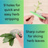Boorika 9-Hole (2) Herb Stripper Stainless Steel Herb Peeler for Quick Leaf Stripping Multi-Purpose Kale, Rosemary