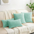 HWY 50 Aqua Green Velvet Throw Pillow Covers 20x20 Inch, Pack of 2 Soft Cozy Solid Decorative Cushion Cases for Couch