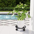 Chinpakden 10.24" 1 Pack 360 Plant Stand with Wheels - Plant Caddy, Rotatable and Lockable Plant Rollers, Easy to Move