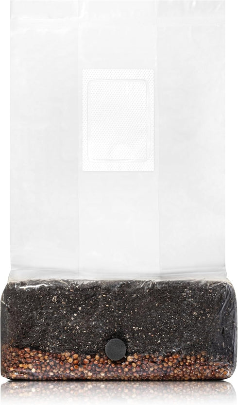 4 LB 32oz (4 LB SPORE SORCERY All-in-One Grow Bag: Up to of Mushrooms! Nutrient-Enhanced, Injection Port, Just Add Your