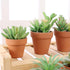 Yishang 2 inch Small Terracotta Pots with Drainage Holes, Mini Clay Ceramic Pottery Planter for Indoor/Outdoor
