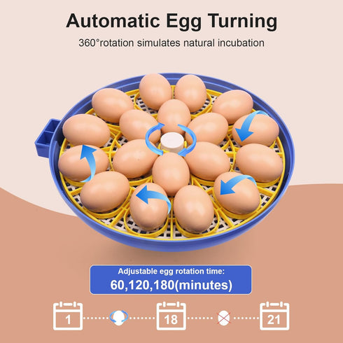 IIGLOWING 18 Eggs360Airflow Egg Incubators for Hatching Circulation System Incubator with Automatic Egg Turner