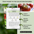 Sow Right Seeds - Classic Tomato Seed Collection for Planting - Cherokee Purple, Beefsteak, Large Red Cherry, Marglobe