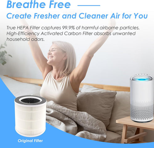 Flintar VK-6067B True HEPA Replacement Filters, Compatible with Vremi and HOKEKI, 3-in-1 H13 Grade Filter Set, 2 Pack