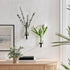 Set 2 of Hanging Glass Vases with Metal Stand - Stylish Plant Holder