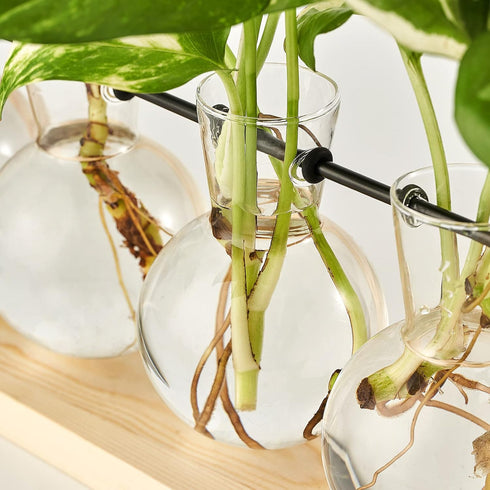 (5 Bulb Mkono Plant Terrarium with Wooden Stand, Wall Hanging Glass Planter Desktop Plant Propagation Vase with Metal