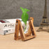 1 Kingbuy Terrarium with Wooden Stand, Desktop Propagation Station, Air Plant Holder, Metal Swivel Holder