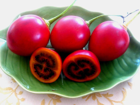 Tamarillo, (Tree Tomato), Cyphomandra Betacea, Tree 10 Seeds (Edible Fruit)