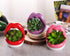 WHJY Sexy Lips Planter Pot, Pink Ceramic Succulent Planter