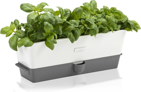 Cole & Mason Burwell Self-Watering Potted Herb Keeper Triple
