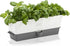 Cole & Mason Burwell Self-Watering Potted Herb Keeper Triple