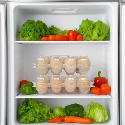 YSJFNVUI 50-Pack 12-Count 12 Count,Suitable of Plastic Egg Cartons Bulk Clear Reusable Egg Containers Holds Chicken