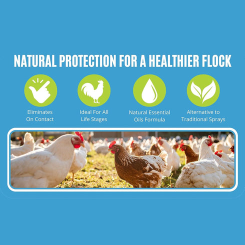 32 oz Coltons Naturals Poultry Spray for Chickens Helps with Mites, Lice, Fleas & Scaly Leg Safe for Coops, Birds