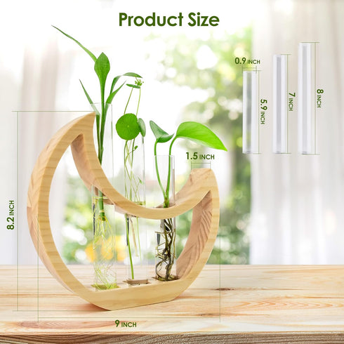 Plant Propagation stations, Crescent Moon Table Terrarium Stand for Indoor houseplants, Wooden Wall Boho Hanging