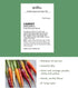 1500 Burpee Kaleidoscope Blend Carrot Seeds seeds