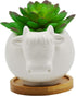 Cuteforyou Cute Cartoon Succulent Pots, Ceramic Cactus Flower Pot, Desk Accessories, Makeup Brush Storage (White Cow)