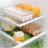 21 iDesign Clear Plastic Egg Holder for Fridge with Lid - Egg Storage Container Organizer Bin