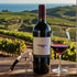Wino Wine Key! Professional Sommelier's Corkscrew Wine Opener