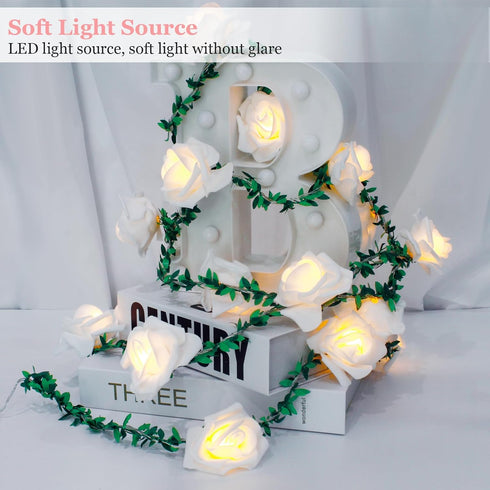 20LED 10Ft VIPMOON Artificial Rose Flower String Lights, Flower Fairy Light Battery Operated with Remote Control, Warm