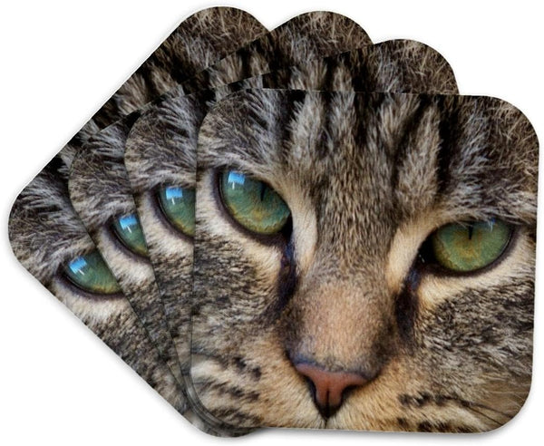 3dRose LLC Cat Face Close Up Coaster, Soft, Set of 4