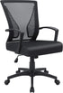 Furmax Office Chair Mid Back Swivel Lumbar Support Desk Chair, Ergonomic Mesh Chair with Armrest (Black)