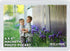 Clear Magnetic Picture Frames for Refrigerator, 16 Pack, Holds Various Photo Sizes