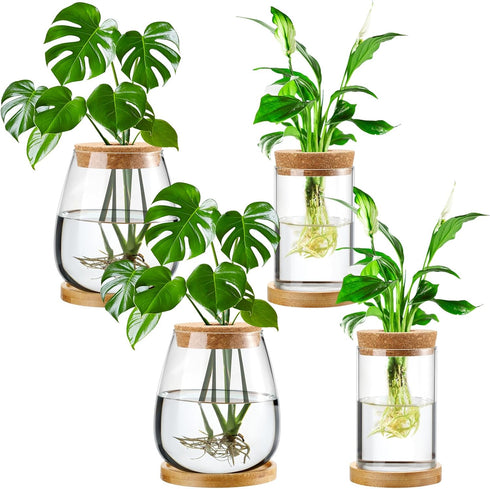 Layhit 4 Pcs Plants Propagation Stations vases Glass Planters with Wooden Lid