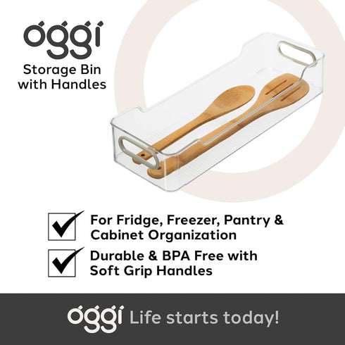 Oggi Cabinet / Drawer Storage Bin, 14" x 5" x 2.75"