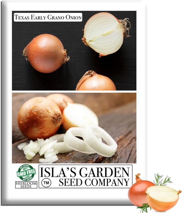 Texas Early Grano Onion Seeds (Allium cepa) 300+ Non-GMO Heirloom Seeds by
