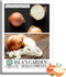 Texas Early Grano Onion Seeds (Allium cepa) 300+ Non-GMO Heirloom Seeds by