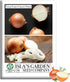 Texas Early Grano Onion Seeds (Allium cepa) 300+ Non-GMO Heirloom Seeds by
