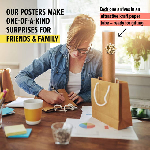Curious Charts Commission Literary Insults Gift Poster, 18 x 24 inch Funny Quotes for Book Lovers