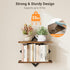 Set 2 2-Tier ELYKEN Floating Shelves for Wall, of Hanging Shelves, Wall Mounted Storage Shelves for Books & Decor