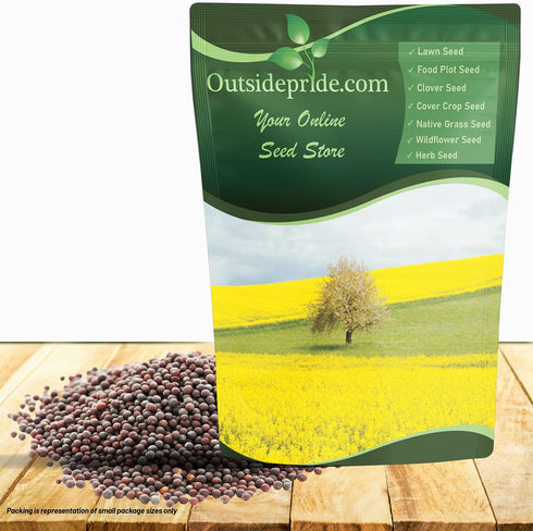 Outsidepride White Mustard Seeds for Planting - 5 lb Annual Cover Crop