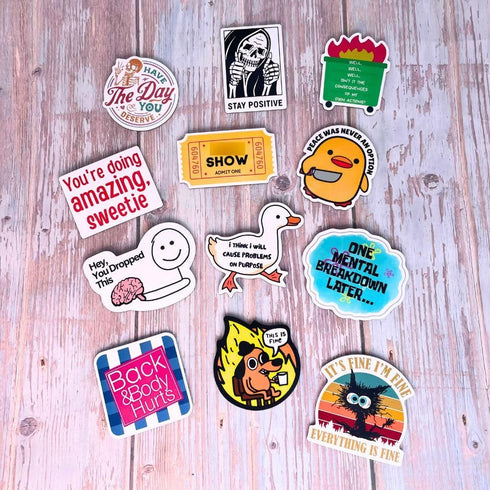 YJ PREMIUMS 12-Piece Fridge Magnets, Funny Memes, Cute Animals, and Words for Home or Office Decoration