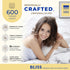 THREAD SPREAD 100% Pure Egyptian Cotton Pillow Cases - 600 Thread Count, Queen/Standard Size Set of 2, White