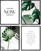 A ARTZONE Botanical Watercolor Prints, Set of 4 Unframed Canvas Art Prints (8x10 inches)