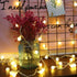 Merdeco Globe Plug in String Lights, 10ft/3m, 20 LED Bulb Warm White Fairy Lights for Decoration