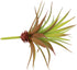LJY 2 Pieces Realistic Artificial Faux Succulent Yucca Vera Plants for Home Garden Decoration