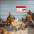 Metal Chicken Sign, Keep Gate Closed, 8 x 12 Inches Yard Sign for Farm Garden Wall Decor Outdoor Home Fence